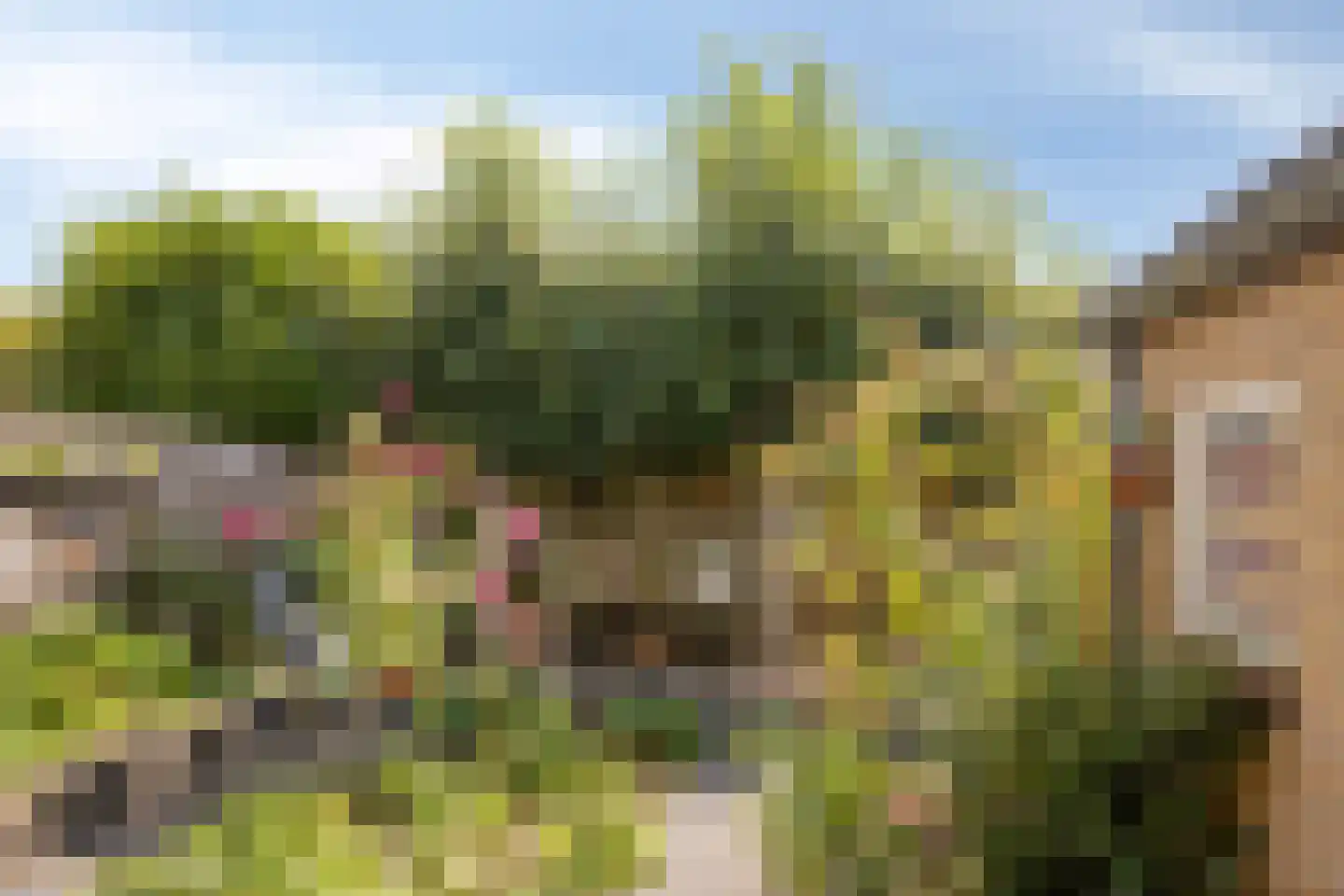 Kuimgaarden 6 Diepenheim thumbnail 29