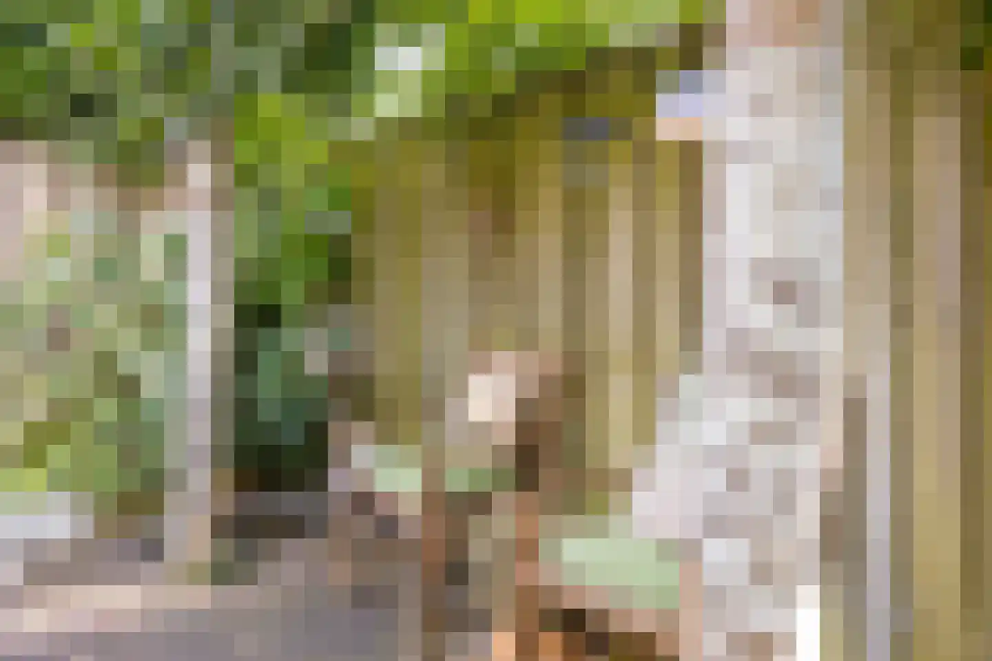 Kuimgaarden 6 Diepenheim thumbnail 31