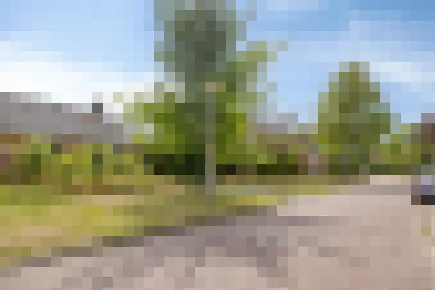 Kuimgaarden 6 Diepenheim thumbnail 36