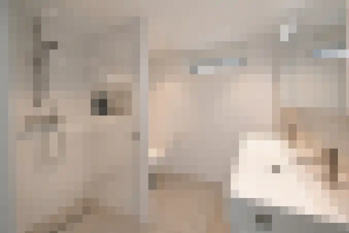 Kuinder 1 Huizen thumbnail 13