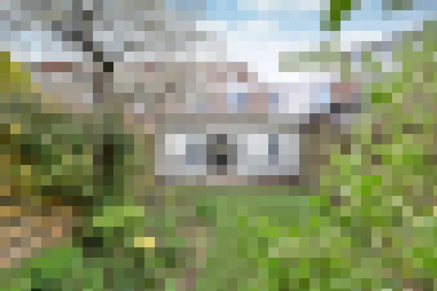 Kuinder 1 Huizen thumbnail 16