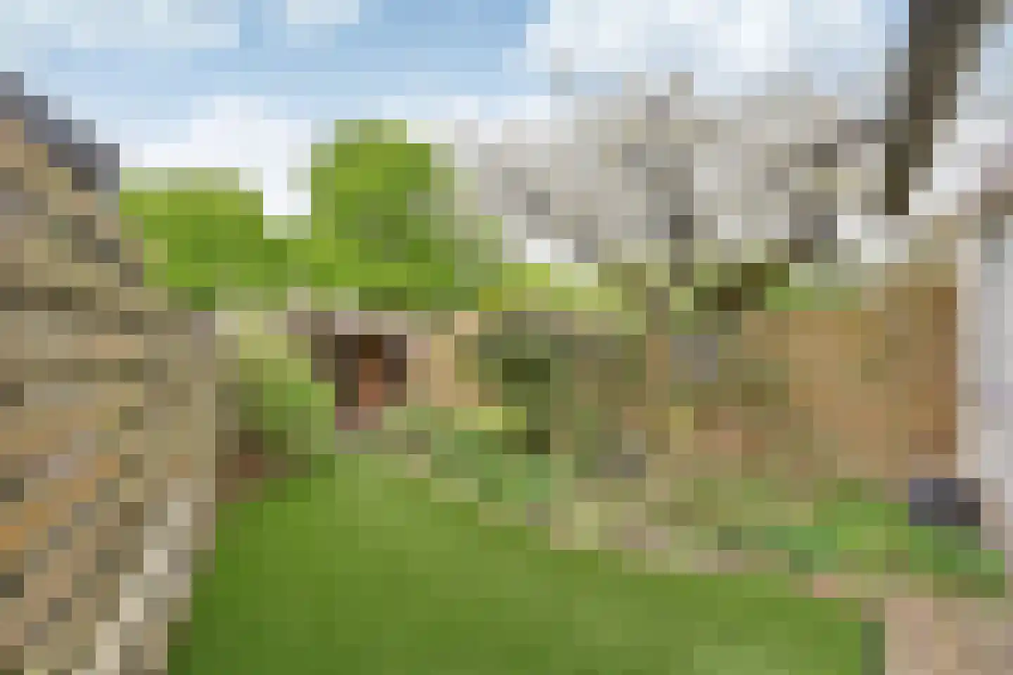 Kuinder 1 Huizen thumbnail 20