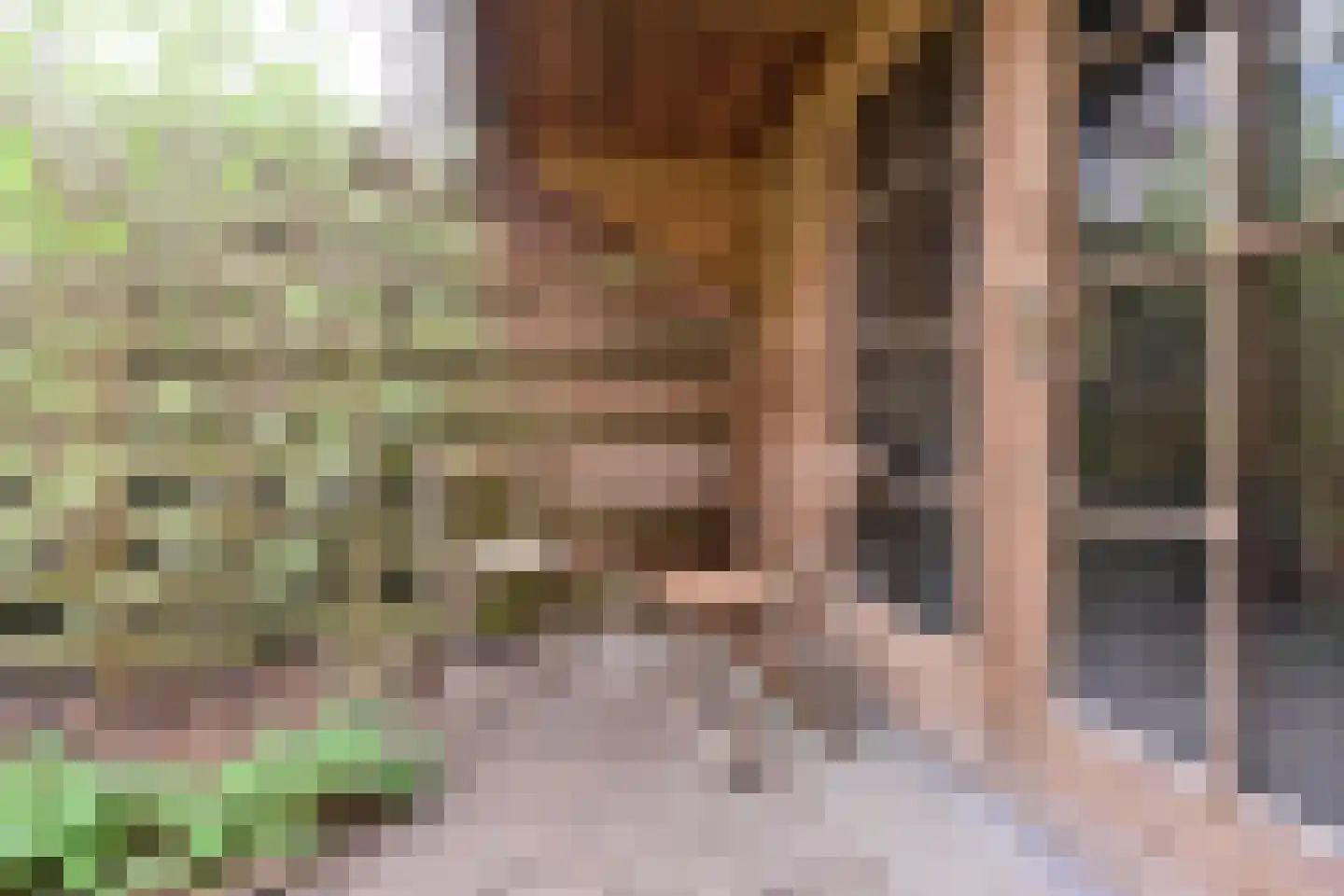 Kuinder 1 Huizen thumbnail 21
