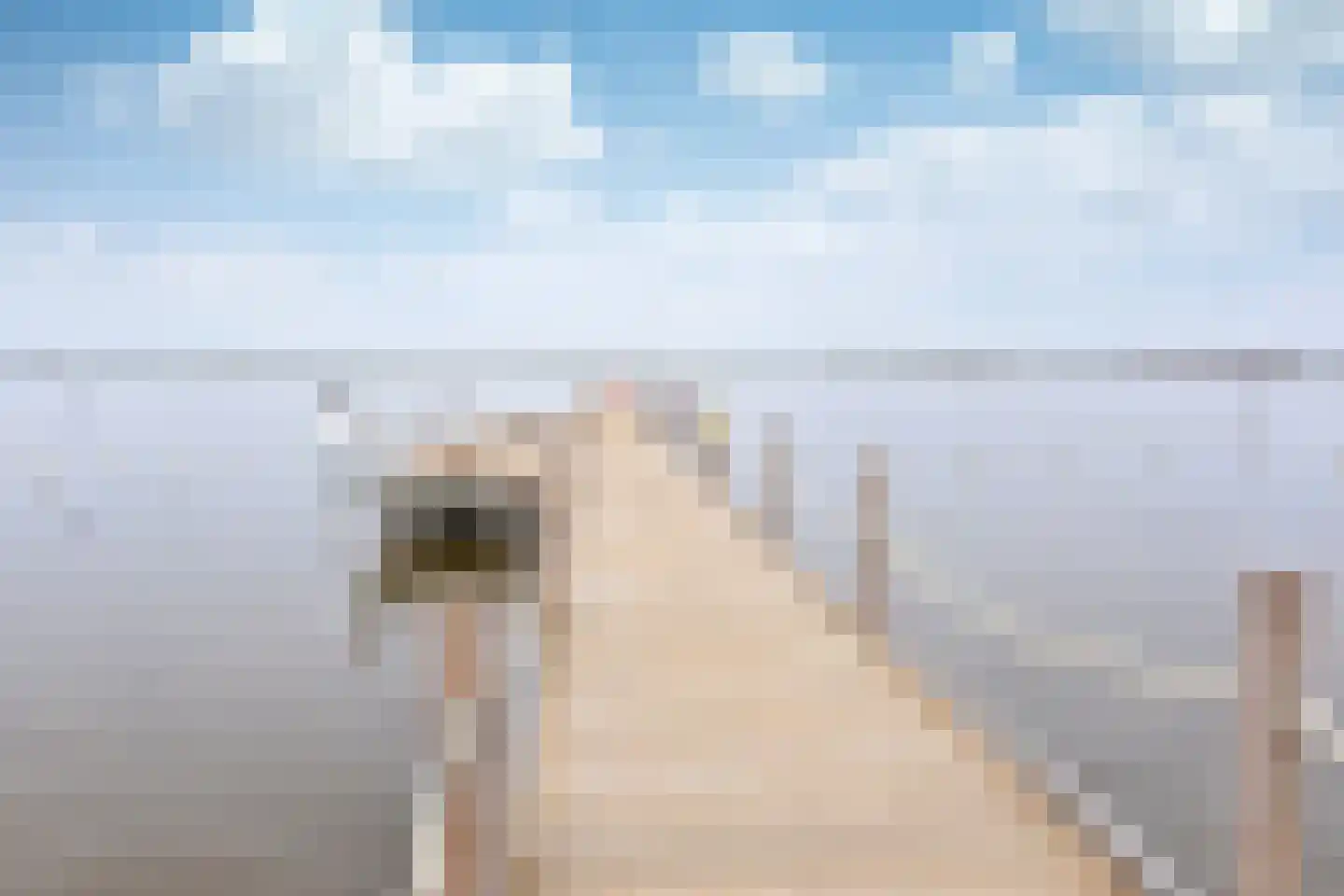 Kuinder 1 Huizen thumbnail 22