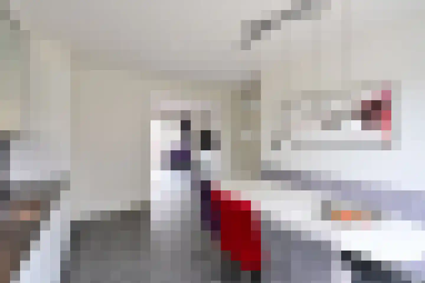 Kuinder 1 Huizen thumbnail 7