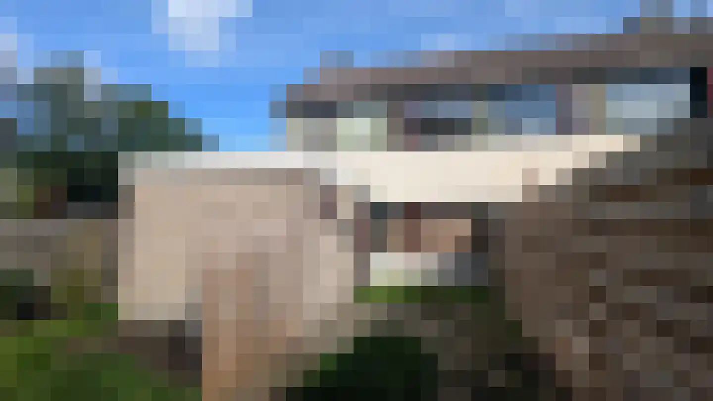 Kuinder 172 Drachten thumbnail 5