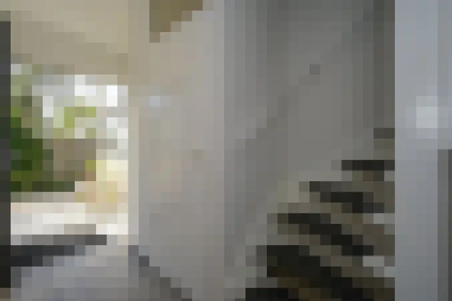 Kuinder 182 Drachten thumbnail 19