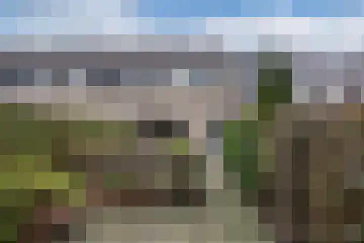 Kuinder 194 Drachten thumbnail 26