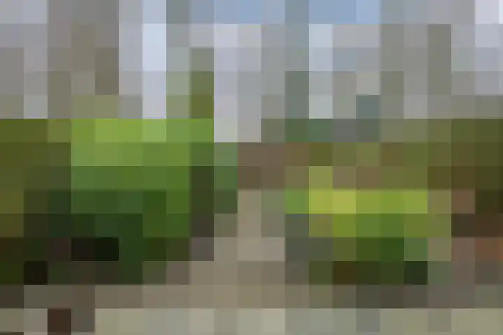 Kuinder 194 Drachten thumbnail 27