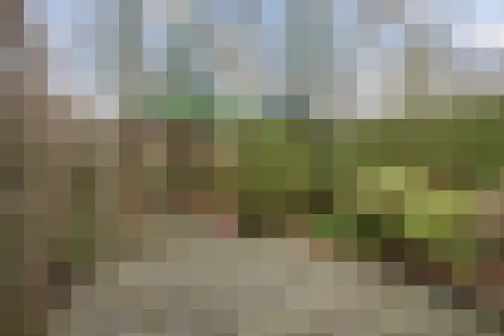 Kuinder 194 Drachten thumbnail 28