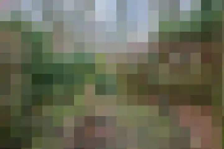 Kuinder 194 Drachten thumbnail 29