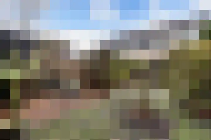 Kuinder 194 Drachten thumbnail 30