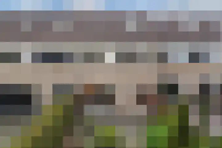 Kuinder 194 Drachten thumbnail 31