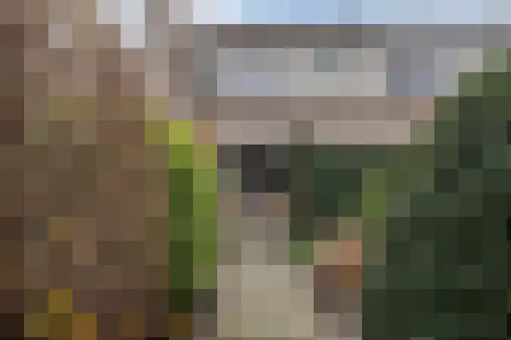 Kuinder 194 Drachten thumbnail 33