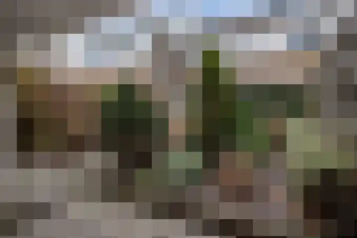Kuinder 194 Drachten thumbnail 34