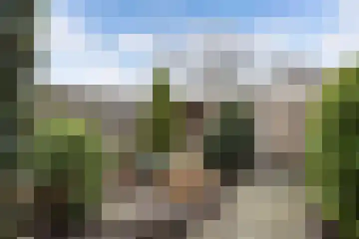 Kuinder 194 Drachten thumbnail 35