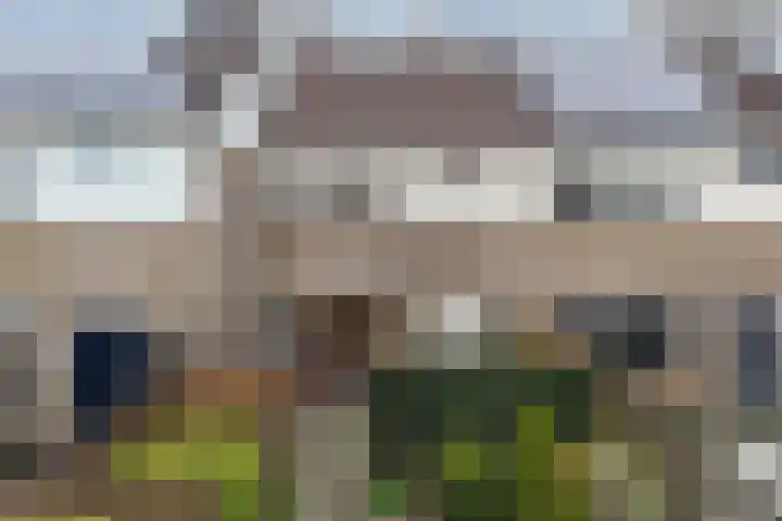 Kuinder 194 Drachten thumbnail 4