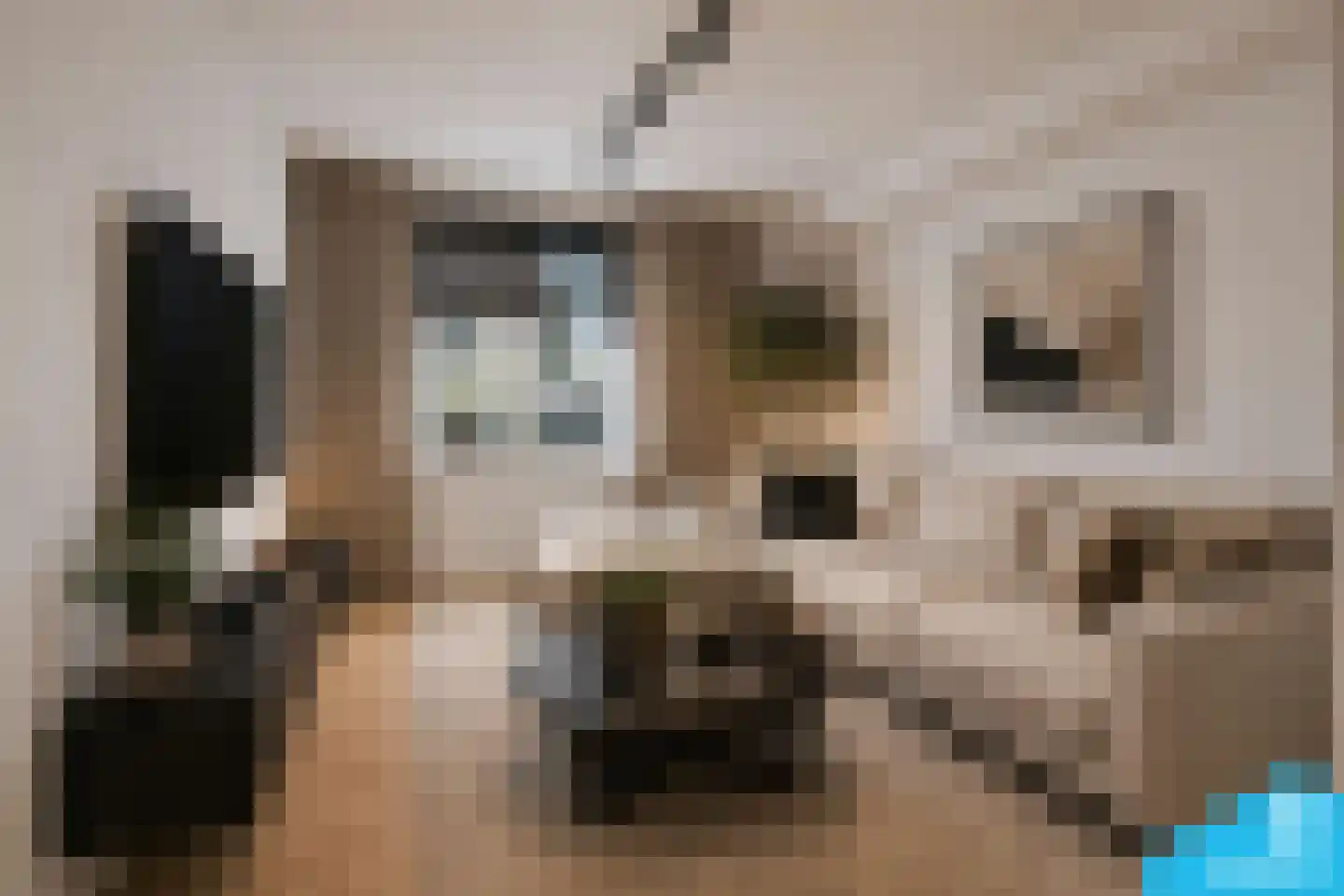 Kuinder 3 Rotterdam thumbnail 11