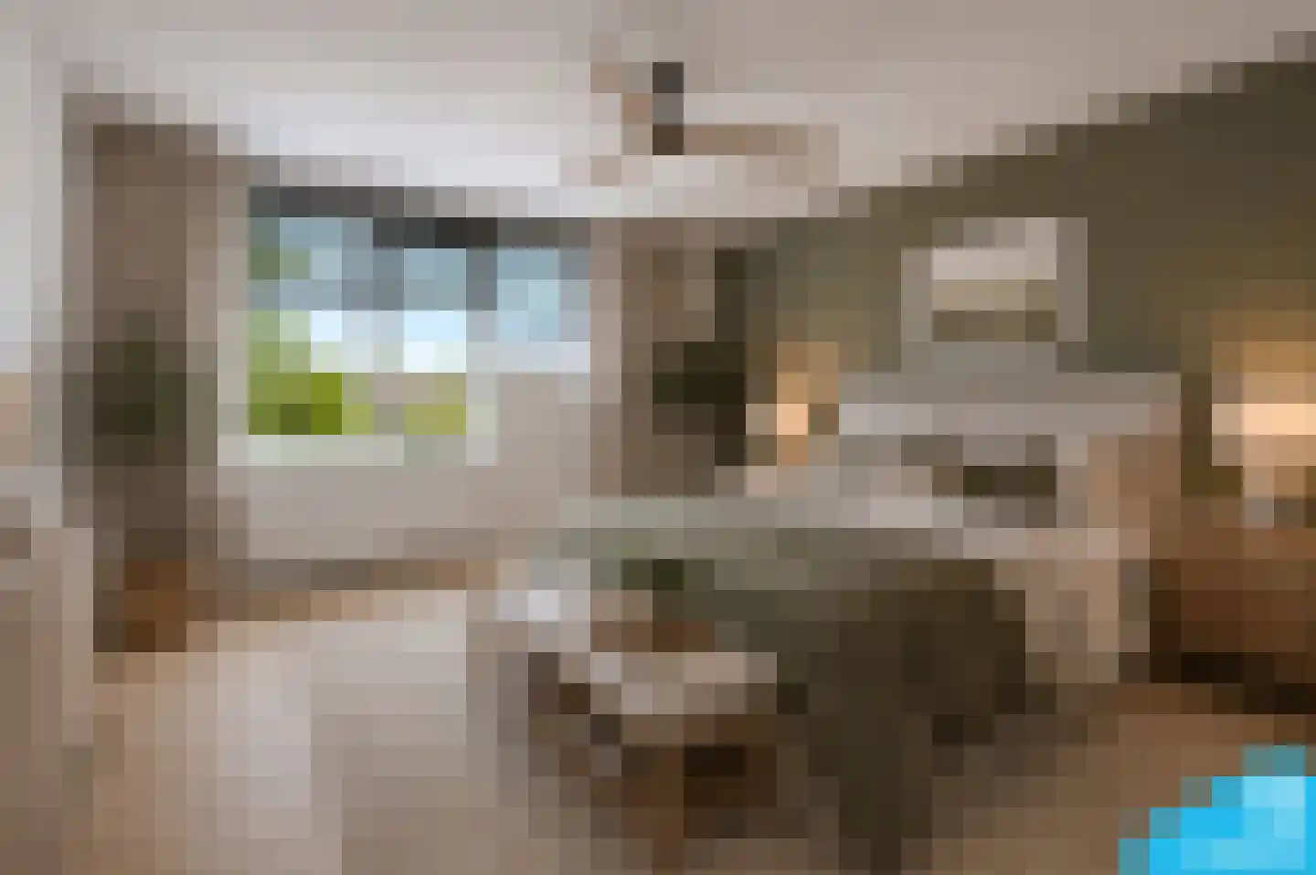 Kuinder 3 Rotterdam thumbnail 16