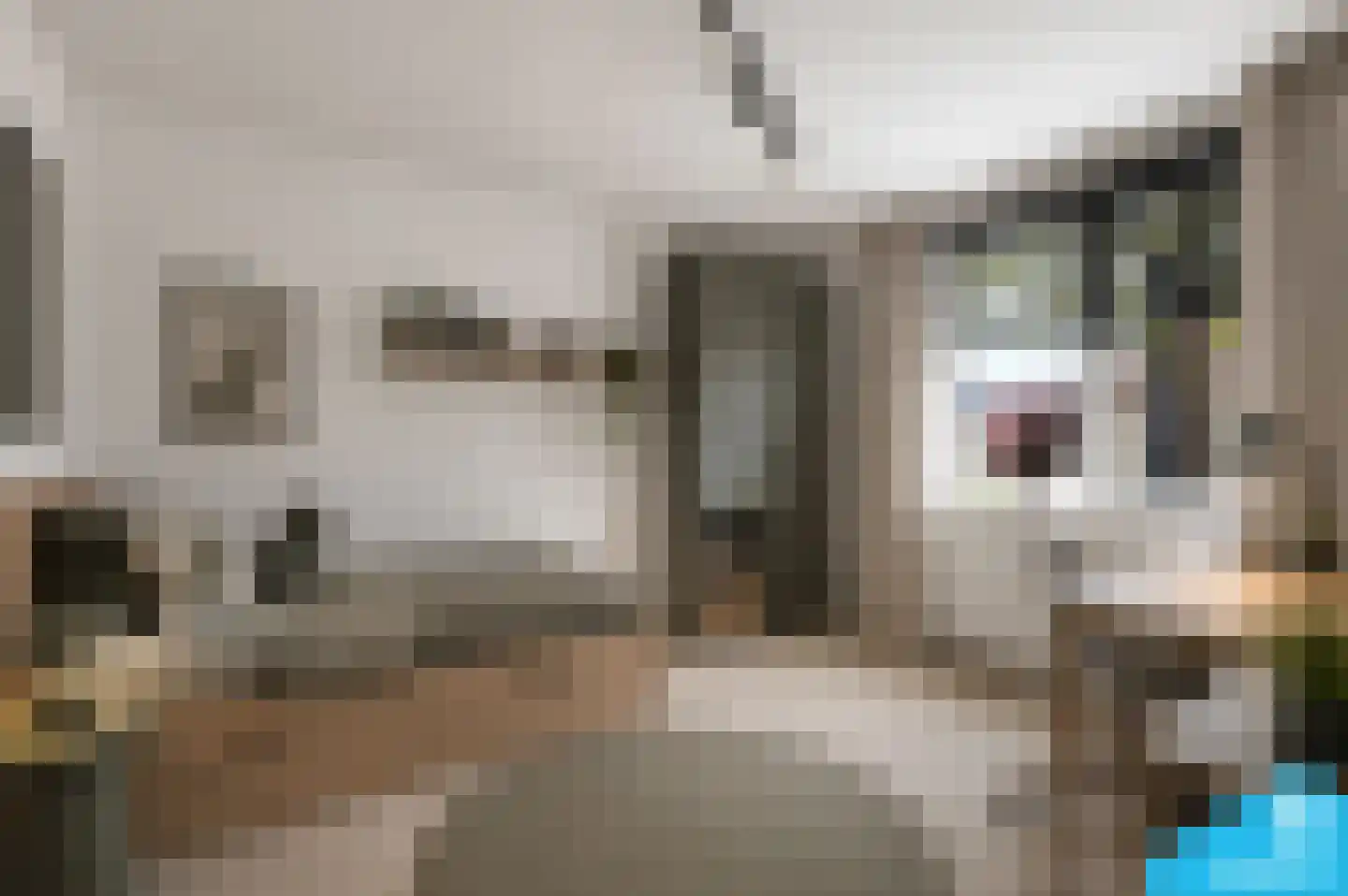 Kuinder 3 Rotterdam thumbnail 18