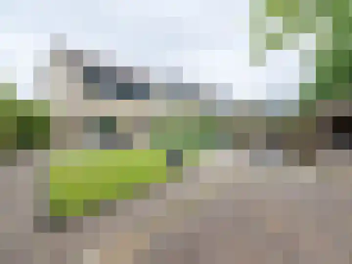 Kuinder 58 Drachten thumbnail 36