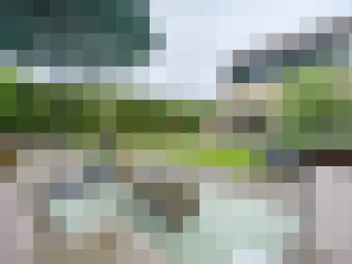 Kuinder 58 Drachten thumbnail 38