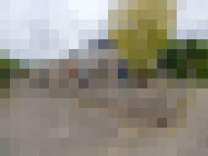 Kuinder 58 Drachten thumbnail 4