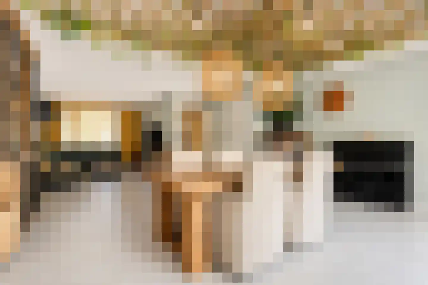 Kuinder 6 Rotterdam thumbnail 10