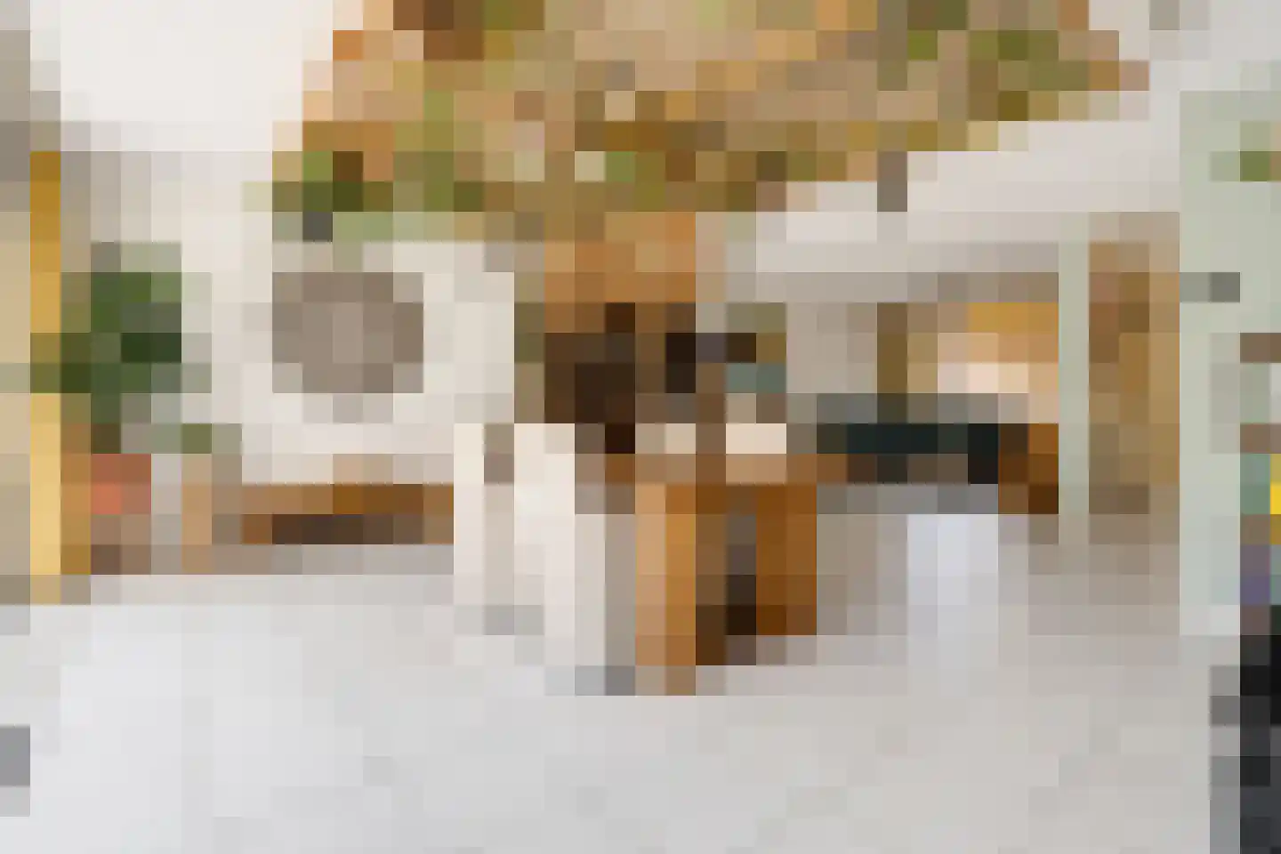 Kuinder 6 Rotterdam thumbnail 9