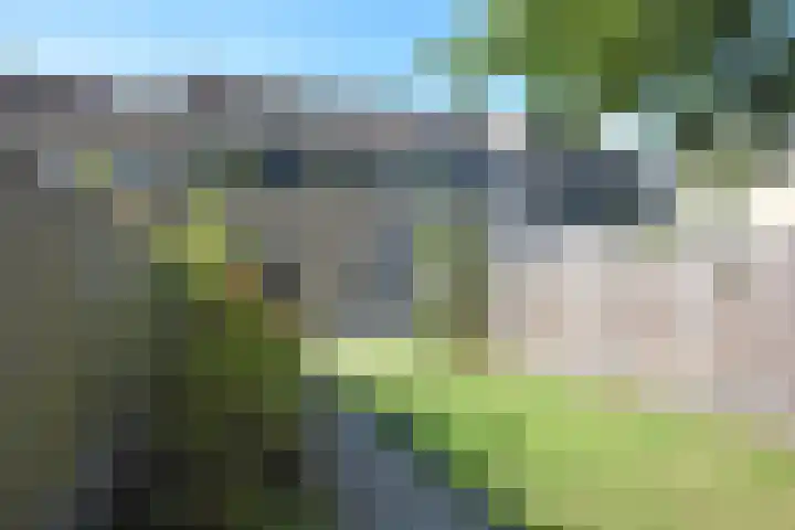 Kuinder 62 Drachten thumbnail 10