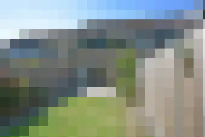 Kuinder 62 Drachten thumbnail 11