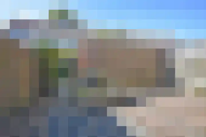 Kuinder 62 Drachten thumbnail 5
