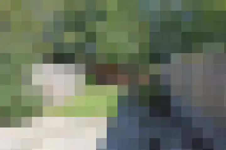 Kuinder 62 Drachten thumbnail 7