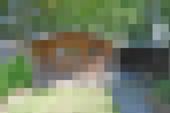 Kuinder 62 Drachten thumbnail 8