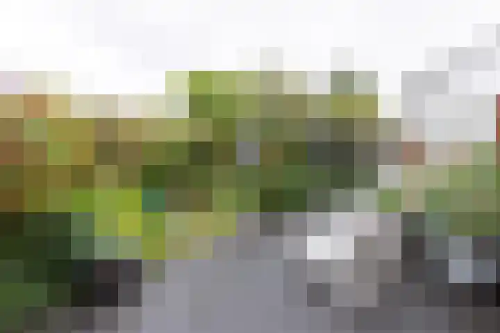 Kuinderbos 31 Hoofddorp thumbnail 12