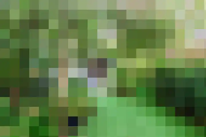Kuinderbos 31 Hoofddorp thumbnail 14