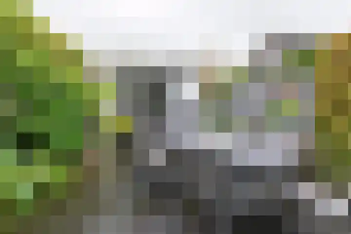 Kuinderbos 31 Hoofddorp thumbnail 15