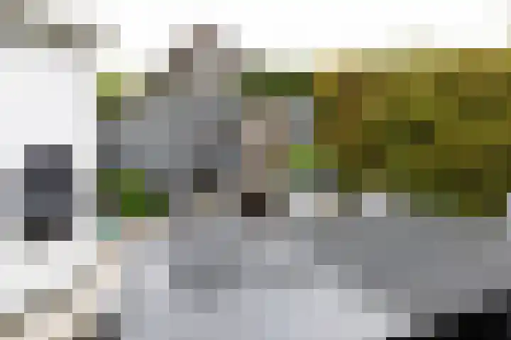 Kuinderbos 31 Hoofddorp thumbnail 16