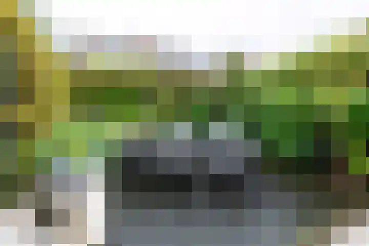 Kuinderbos 31 Hoofddorp thumbnail 17