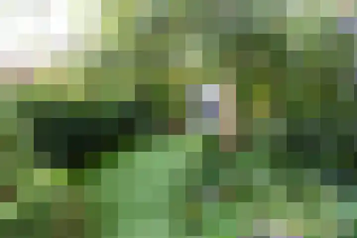 Kuinderbos 31 Hoofddorp thumbnail 34