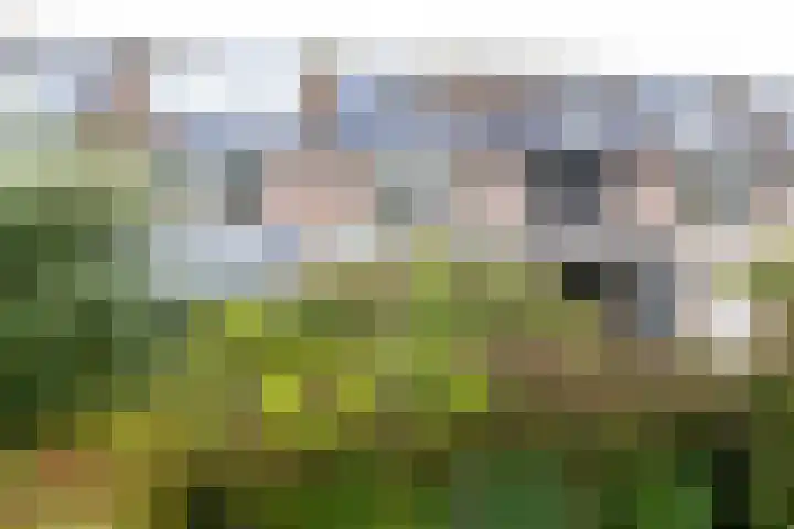 Kuinderbos 31 Hoofddorp thumbnail 35
