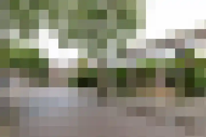 Kuinderbos 31 Hoofddorp thumbnail 38