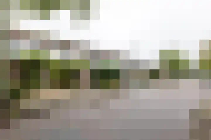 Kuinderbos 31 Hoofddorp thumbnail 39