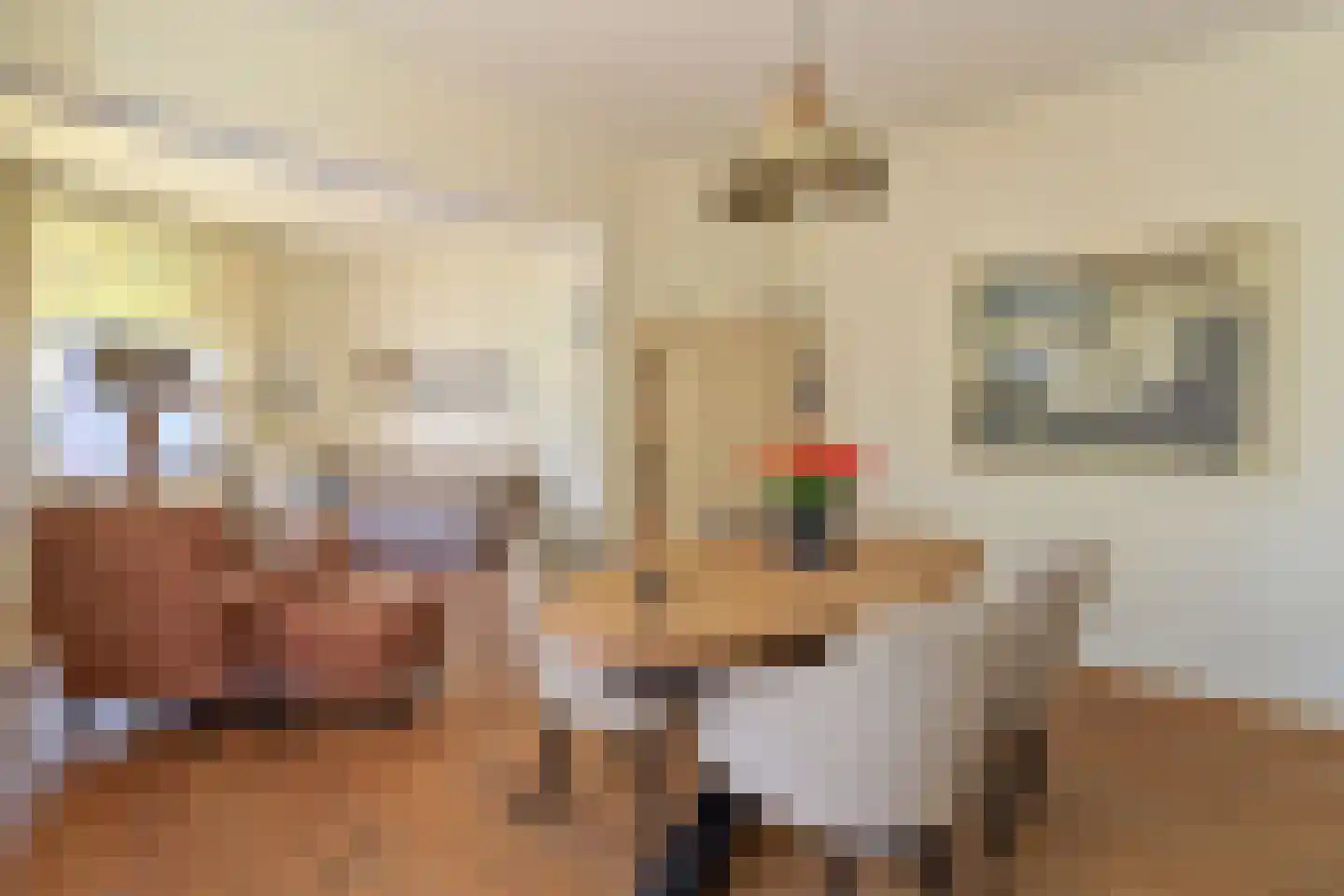 Kuinderstraat 1 Blokzijl thumbnail 13