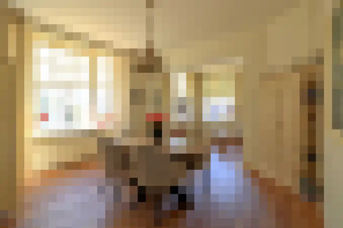 Kuinderstraat 1 Blokzijl thumbnail 15