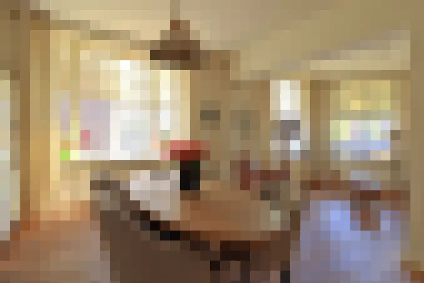 Kuinderstraat 1 Blokzijl thumbnail 17