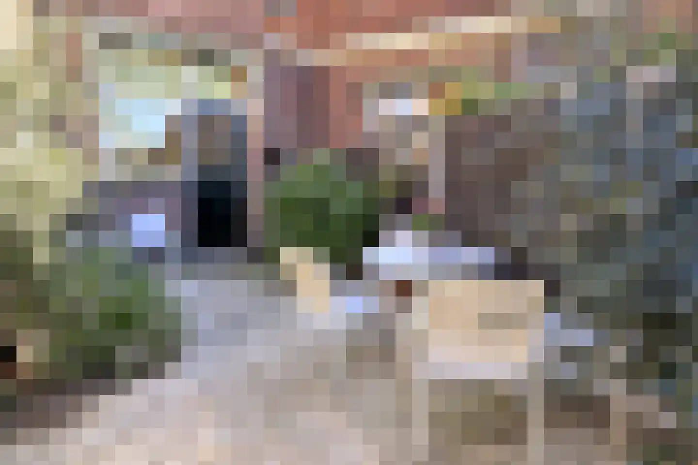 Kuinderstraat 1 Blokzijl thumbnail 6
