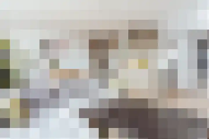 Kuinderstraat 27 4 Amsterdam thumbnail 7