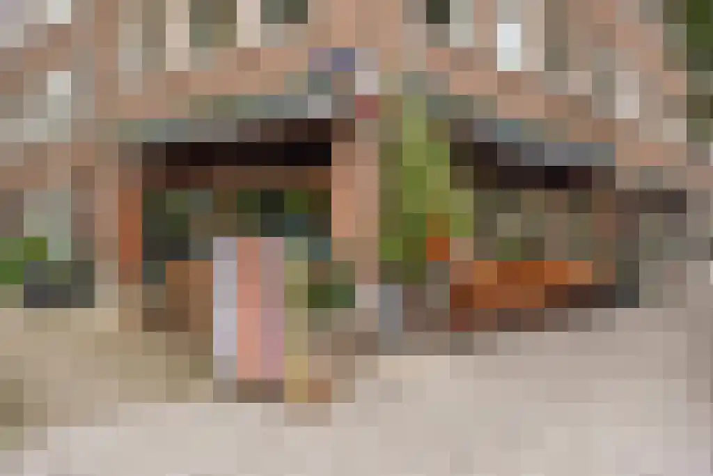 Kuinderstraat 34 1 Amsterdam thumbnail 28