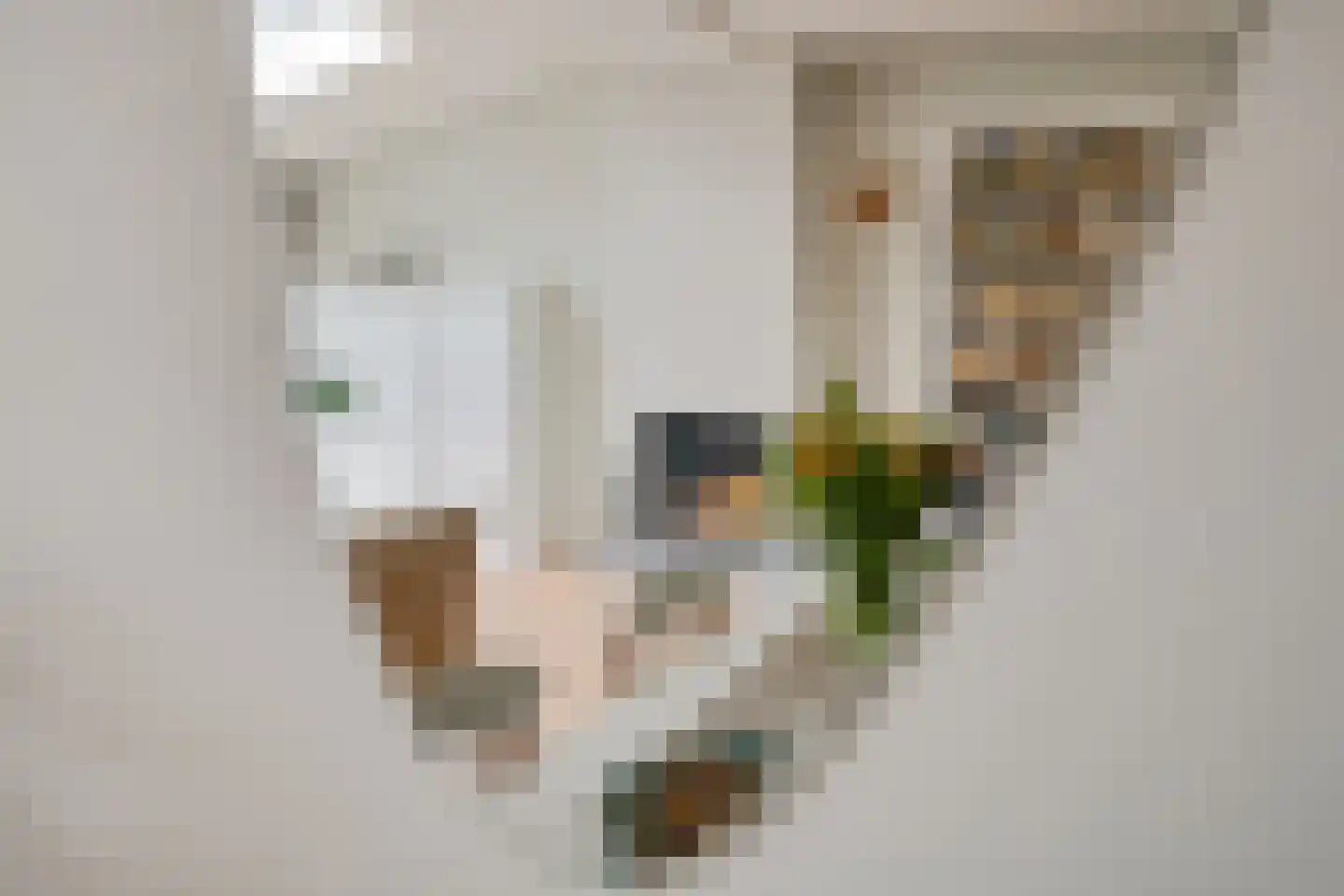 Kuinremeen 1 Harderwijk thumbnail 22